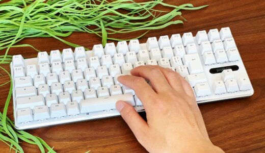 【Pulsar PCMK JIS TKL Keyboard レビュー】スイッチを選んで打鍵感を追求！見た目やキーマップも自分好みにカスタマイズできるメカニカルゲーミングキーボード